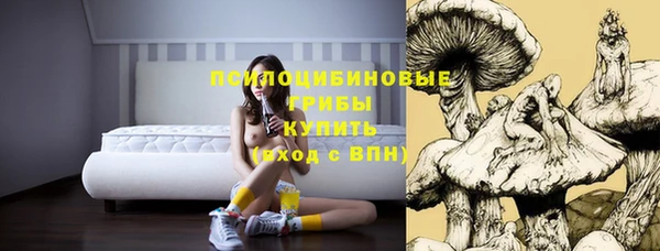 трава Бронницы