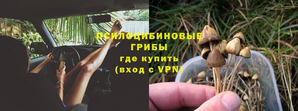 трава Бронницы