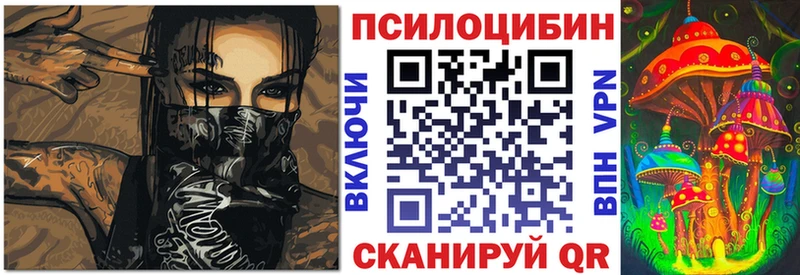 Галлюциногенные грибы Psilocybe  Купить закладки  Невельск 