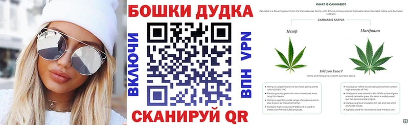 Купить где  Невельск  Канабис SATIVA & INDICA 